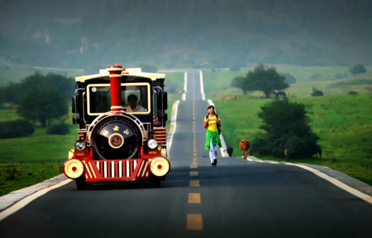 travel agency and tourism travel agency and tourism