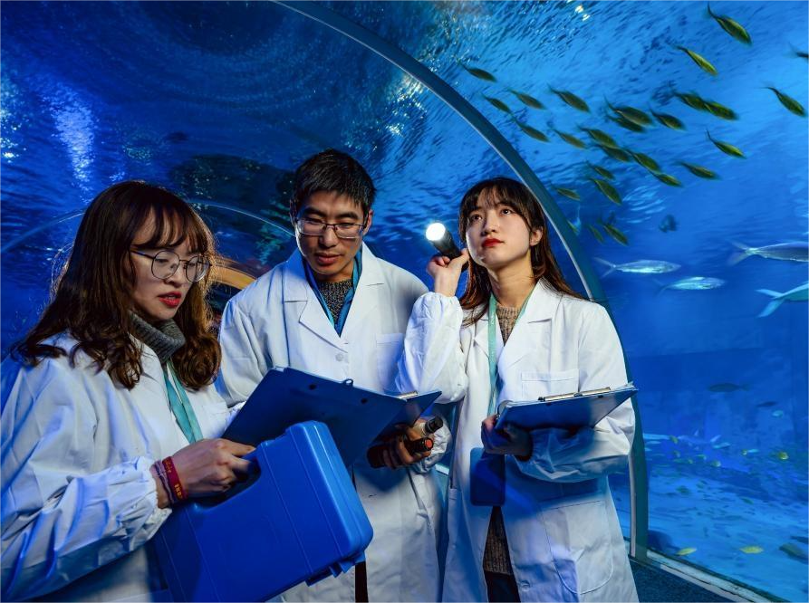 The Passionate Team Behind the Aquarium Scenes | Locals | ichongqing